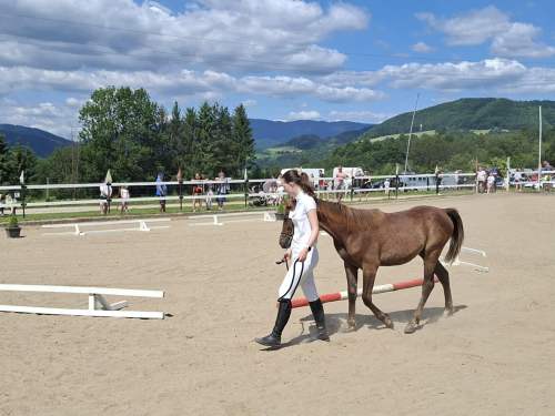 2b0525a8-93a7-48ef-b314-8774b03ec603